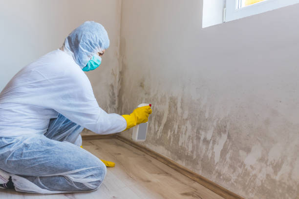 Mold Remediation specialist working in Lakeland